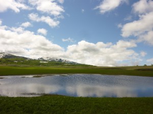 2012.6.24雨竜沼 072