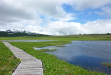 2012.6.24雨竜沼 045